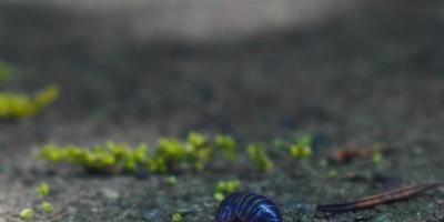 Ремонт моноблоков в Москве